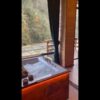 видео-палец-0
