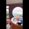 видео-палец-0