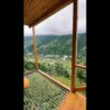 видео-палец-0
